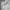 MLB Casual Harrington jacket Pria white photo 2