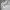 MLB Casual Harrington Jacket Pria White