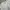 MLB Casual Harrington jacket Pria white photo 4