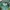 Vintage Hat Pria green photo 3