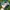 Vintage Hat Pria green photo 5