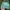 Vintage Sportswear Hat Pria green photo 2