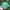 Vintage Sportswear Hat Pria green photo 1