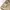 Japanese brand Streetwear Y2K Hoody Pria tan photo 7