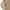 Japanese brand Streetwear Y2K Hoody Pria tan photo 3