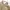 Japanese brand Streetwear Y2K Hoody Pria tan photo 2