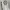 Chrome Hearts Horseshoe logo LS Crewneck Sweatshirt photo 4