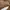 Japanese brand Sportswear Casual Windbreaker Pria brown photo 7
