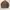 Japanese brand Sportswear Casual Windbreaker Pria brown photo 1
