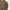 Japanese brand Sportswear Casual Windbreaker Pria brown photo 2