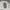 Nike Streetwear Sportswear Sweater Pria white photo 4