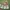 Topi Brown Square 6 Panel photo 5