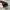 Nike Air Force 1 x Stussy Black photo 4