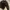 Vintage Look Macnos Locomotive  Velvet photo 2