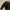 Vintage Look Macnos Locomotive  Velvet photo 3