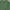 Polo Ralph Lauren Streetwear Luxury Sweatshirt Pria Green