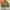 Army crop big pocket  photo 2