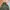 M65 Millitary jacketBy STOP field Jacket photo 5