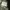 M65 Millitary jacketBy STOP field Jacket photo 9