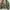 M65 Millitary jacketBy STOP field Jacket photo 8