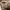 New Look Streetwear Casual Mini skirt Wanita tan photo 3