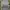 New Look Minimalist Casual Mini skirt Wanita gray photo 2