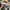 Parachute pants Nike Big logo photo 3