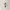Alba Roza Vintage Casual Pria gray photo 2