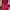 Minimalist Casual Casual Dress Wanita Burgundy
