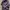 Carhartt Snap-on Hood Deep Purple Womens Coat Jacket. photo 4