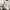  RVCA Varsity Crewneck | White photo 4