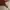 Y2K Fur coat Wanita brown cream photo 2