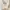 KANSAI YAMAMOTO JAPAN Stripe Shirt Size L photo 8