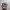 Kangol Y2K Minimalist Hat Pria cream photo 1