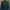 PC Dark Green Sweater photo 3