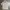 INED Vintage Streetwear Formal shirt Pria cream photo 2