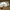 MLB Vintage Streetwear Hat Pria White