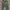 Uniqlo Army Cargopants photo 2