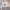 Vintage Streetwear Casual Shirt Pria Multicolor White