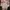Gucci Casual Casual dress Wanita white pink photo 2