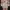 Gucci Casual Casual dress Wanita white pink photo 1
