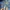 Vintage jorts pants y2k baggy jorts y2k art black wash photo 6