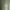 Crewneck Sweater CN Kasual Ellesse Heritage Basic Green photo 3