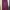 Minimalist Skirt Wanita burgundy photo 1