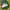Vintage Hat Pria green photo 3