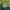 Vintage Hat Pria Green