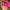 Vintage Hat Pria pink photo 5