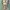 OVERSIZE SECOND SKIN  photo 2
