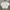 Y2K Minimalist Bomber jacket Wanita white tan photo 1
