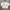 Y2K Minimalist Bomber Jacket Wanita White Tan